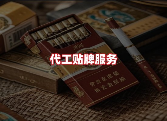 专业团队
